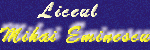www.eminescu.multinet.ro
