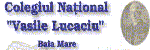www.lucaciu.multinet.ro